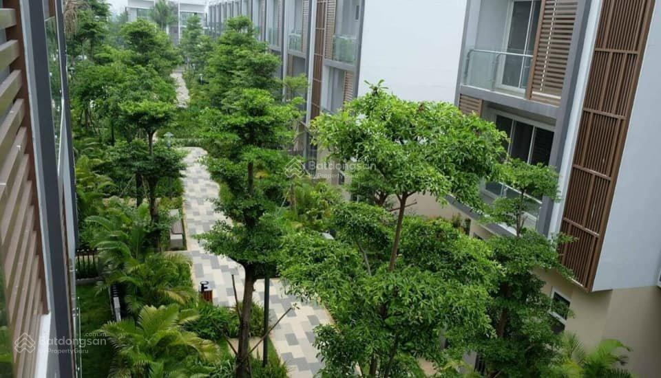 Cập nhật giỏ hàng tháng 10/2025, giá thật và tốt nhất, thông tin tư vấn chính xác luôn cập nhật