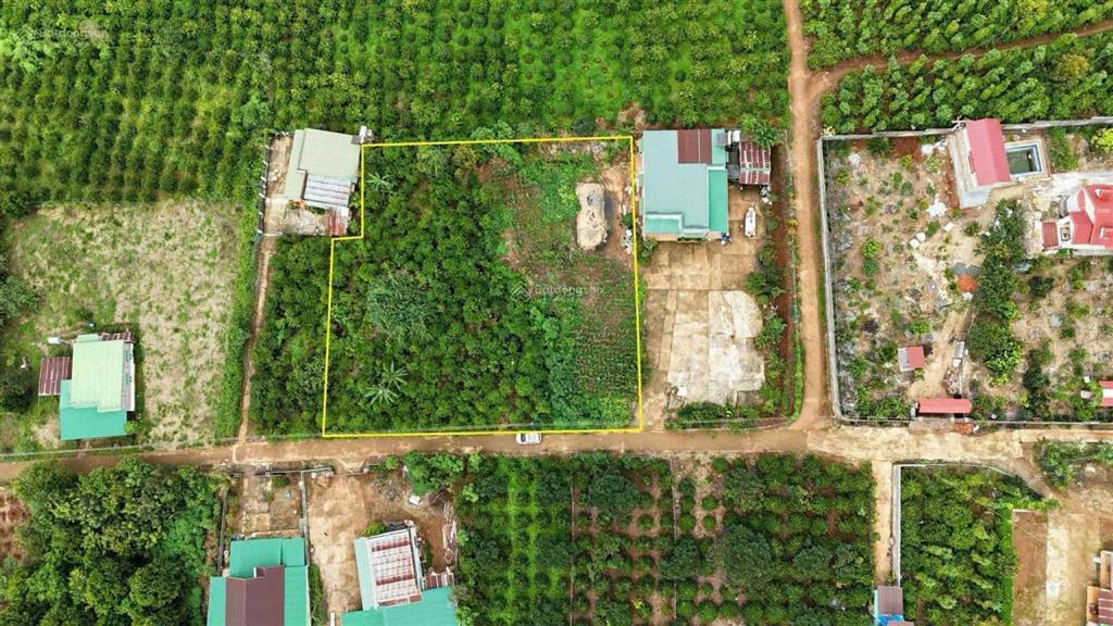 5x43m 75 thổ cư, mặt tiền bê tông di linh lâm đồng, cách nút giao cao tốc 2km.