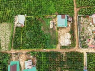 49m mặt tiền bê tông 2017,7m2 thổ cư, đang tách 9 nền sẵn tại tân châu di linh