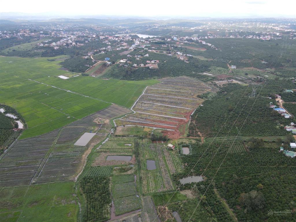 Đất đẹp 1625m² trung tâm thị trấn di linh cách công an huyện 2km, nở hậu tài lộc