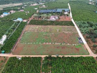 Đất đẹp giá tốt di linh  204m² có thổ cư, đường bê tông, khu dân cư đông đúc 520tr công chứng liền