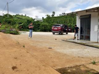 Siêu phẩm 12.000m² full thổ cư vườn cà phê bằng phẳng, mặt tiền 120m đường bê tông tại tân nghĩa