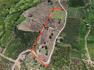 Đất view sông đồng nai 6 sổ sẵn, giá rẻ nhất tân nghĩa di linh