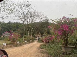 Bán 18858.8m2 đất nghỉ dưỡng view đẹp Thanh Thủy, Phú Thọ. Giá 1tr/m2