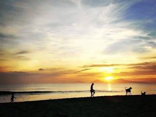 Bán mảnh đất sát biển tại bãi tắm hà my  hội an, lựa chọn hoàn hảo cho đầu tư và xây khách sạn