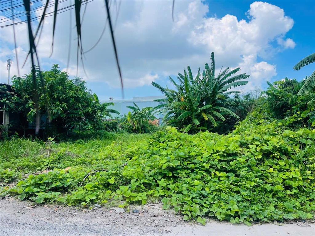 Bán lô đường 6m ô tô thôn quang châu  phường hoà xuân