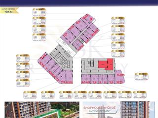 Hot! sun group chính thức ra mắt 55 sản phẩm shop khối đế thương mại dự án sun symphony residence