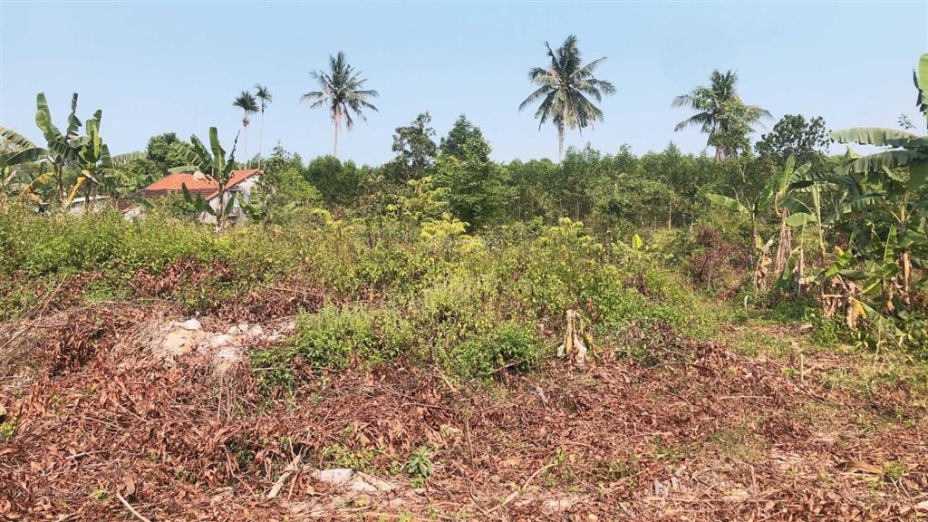 Cần bán 2652m2 xã quế mỹ, quế sơn, quảng nam, giá đầu tư của dân chỉ 990 triệu