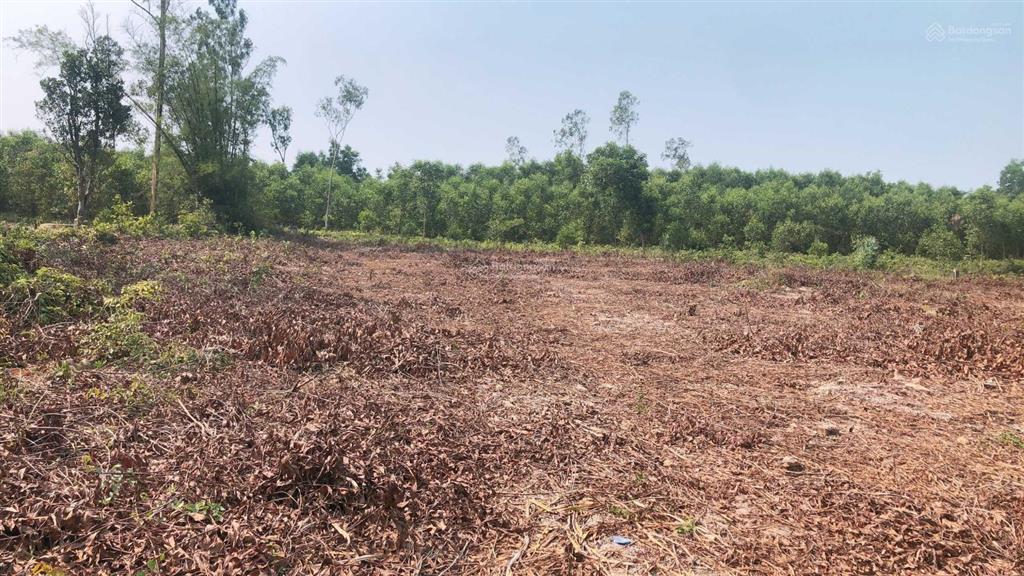 Cần bán 2652m2 xã quế mỹ, quế sơn, quảng nam, giá đầu tư của dân chỉ 990 triệu