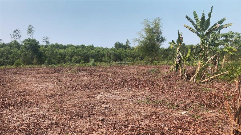 Cần bán 2652m2 xã quế mỹ, quế sơn, quảng nam, giá đầu tư của dân chỉ 990 triệu