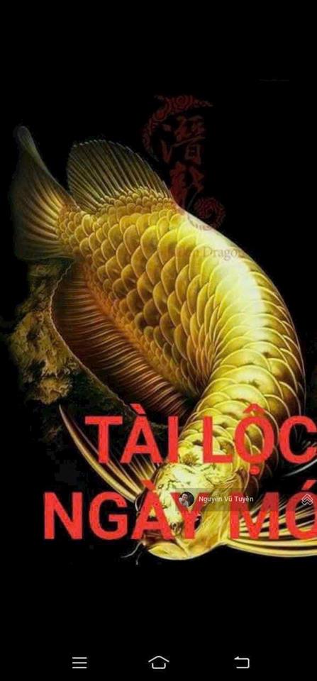 Bán đất tặng dãy trọ đường 7m5 lương văn can  cẩm lệ