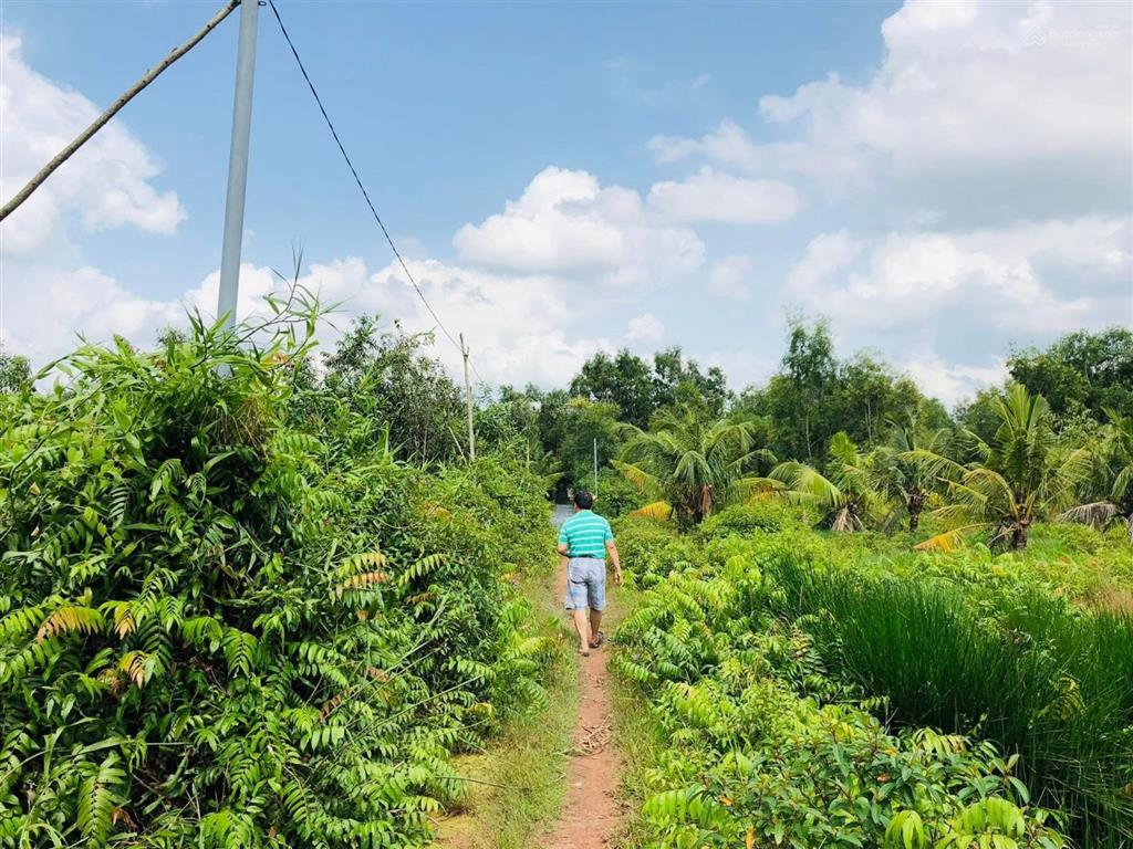 Bán lô đất vàng 1084m2 quy hoạch 2 mặt tiền (20x54m), đất tmdv giá 6.5 tỷ, cách hùng vương 100m