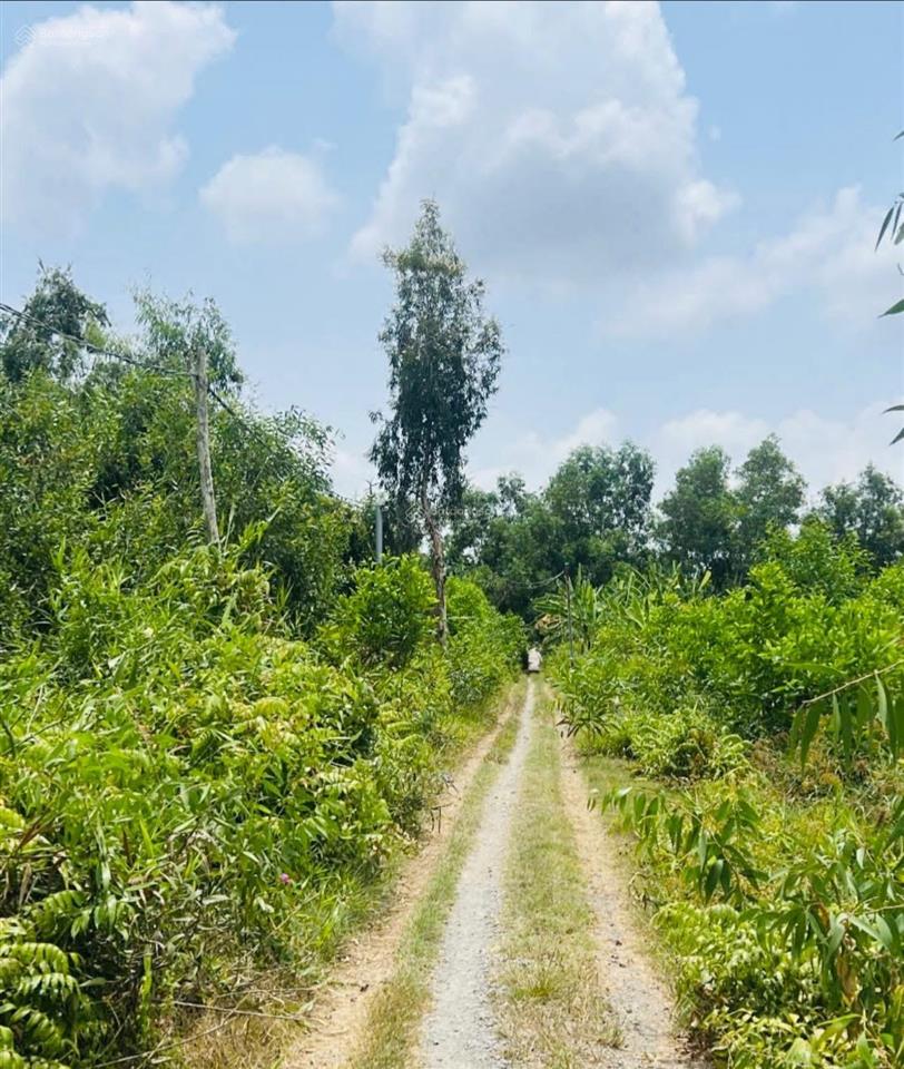 Bán lô đất vàng 1084m2 quy hoạch 2 mặt tiền (20x54m), đất tmdv giá 6.5 tỷ, cách hùng vương 100m