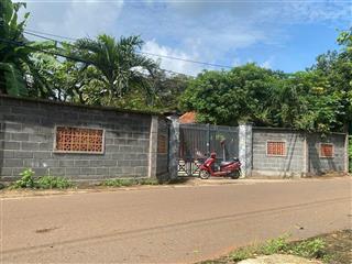 Bán 1,5 sào long phước bà rịa ngang 17.3m có sẵn nhà gỗ và vườn trái cây giá 5,2 tỷ