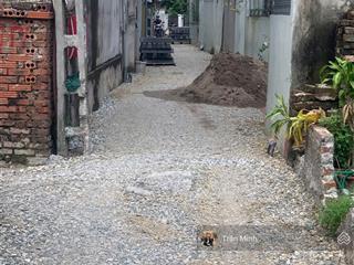 Cần bán lô đất siêu đẹp 45m2  tại thôn phúc thọ  xã mai lâm cũ  nay thuộc xã đông anh  hà nội.