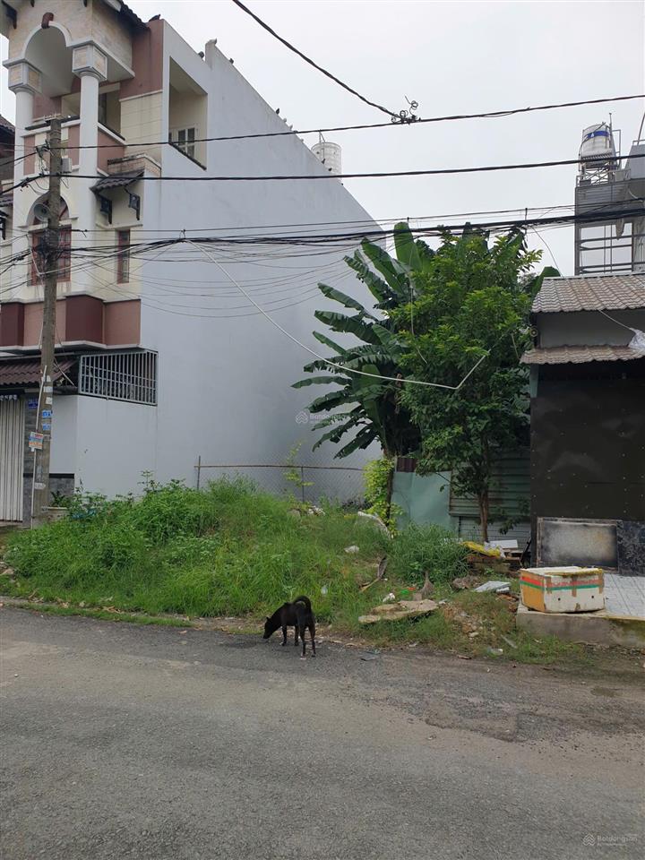 Đất thổ cư mt đường nhựa 10m 1/ tô ký gần chợ ngã 3 bẩu, trường dh gtvt