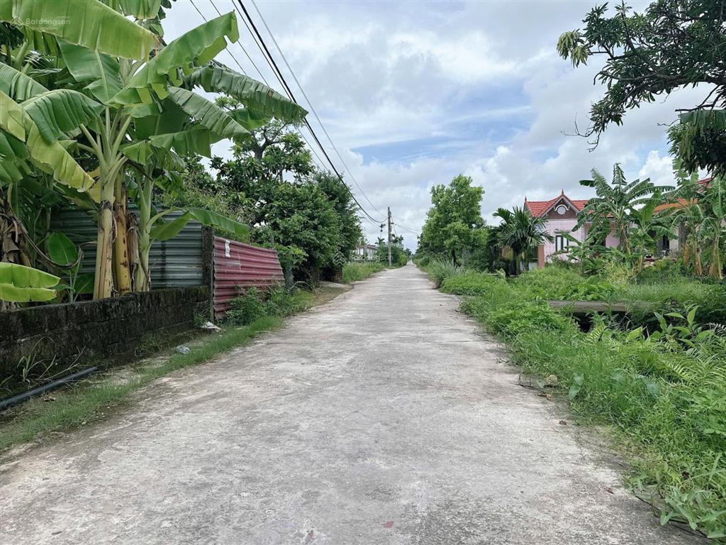 Chính chủ gửi bán lô đất thông kính trực, tân phong, kiến thuỵ. diện tích 344m2, mặt tiền 3m6