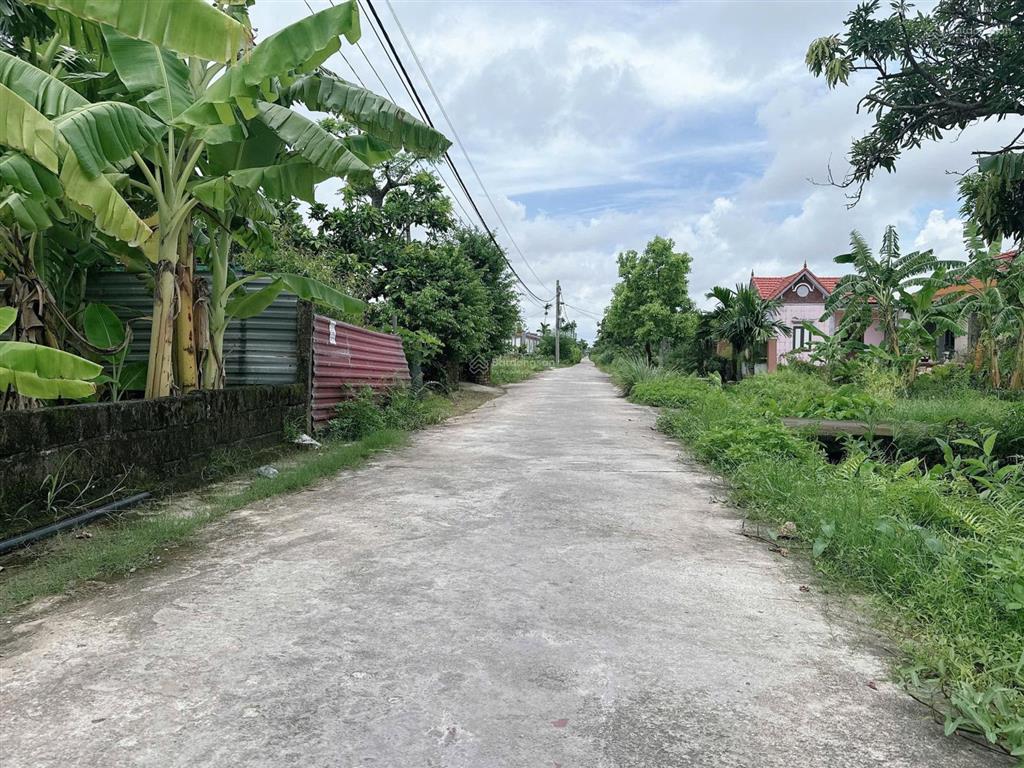 Chính chủ gửi bán lô đất thông kính trực, tân phong, kiến thuỵ. diện tích 344m2, mặt tiền 3m6