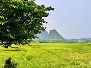 Cần bán đất 600m2 view ruộng, núi ở kim bôi cách hn 75km. giá chỉ hơn 1 tỷ