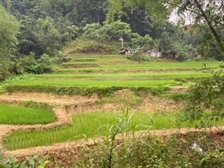 Bán lô đất 18ha có suối chảy quanh đất tại đà bắc hoà bình, giá chỉ 4.x tỷ