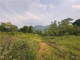 Lô đất hơn 6000m2 view thoáng nhìn toàn bộ kdc, giá cực mềm chỉ 400,000đ/m2