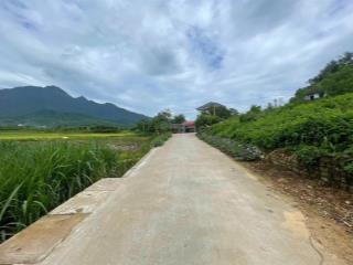 Lô đất nghỉ dưỡng 180m2 với mặt tiền hơn 7m, đường ô tô tránh nhau. view núi ba vì, giá 1 tỷ 399