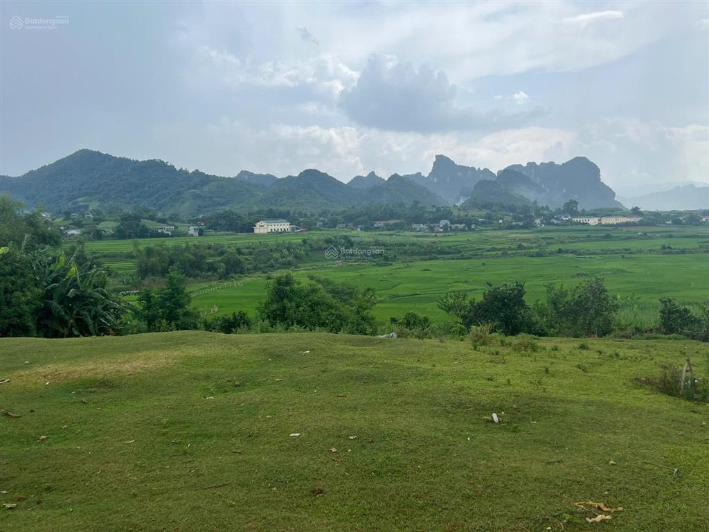 Chủ cần bán 2260m2 có 1600m2 thổ cư, view tuyệt đẹp tại hợp phong, cao phong, hòa bình