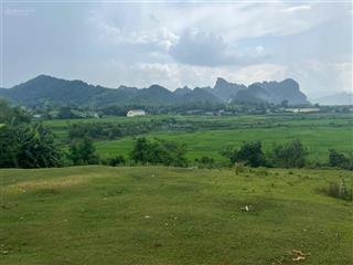 Chủ cần bán 2260m2 có 1600m2 thổ cư, view tuyệt đẹp tại hợp phong, cao phong, hòa bình