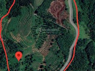 Bán 8,2ha đất, vị trí đẹp bám đường nhựa đã cải tạo.  xem đất tại lạc thủy 0946 110 ***