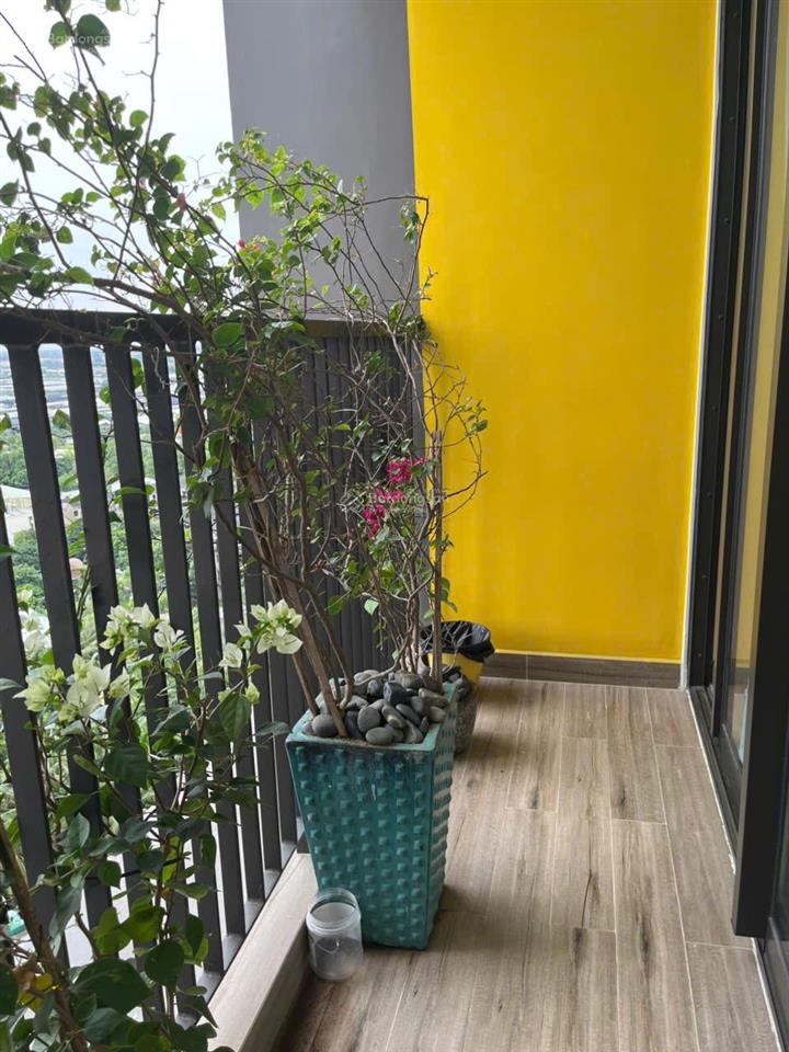 Cần tiền bán gấp căn hộ studio haven park ecopark hoàn thiện tinh tế, tỉ mỉ 0866 748 ***