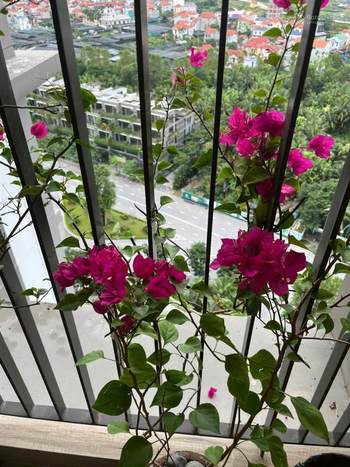 Cần tiền bán gấp căn hộ studio haven park ecopark hoàn thiện tinh tế, tỉ mỉ 0866 748 ***