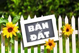 Bán đất xã đàn phù hợp xây ở hoặc ccmn, 56m2, mặt tiền 4m, gpxd 7 tầng, giá 10.5 tỷ