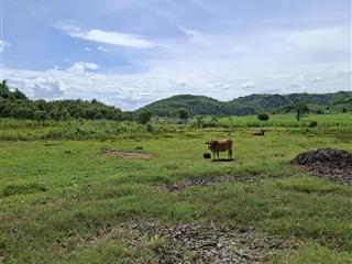 Vườn xoài, đất bằng phẳng, view đẹp
