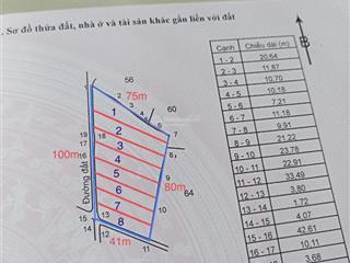 Chính chủ bán lô đất phủ hồng 2 mặt tiền  xã hoà hội  tphcm ( xuyên mộc cũ)  tách được 8 nền nhỏ