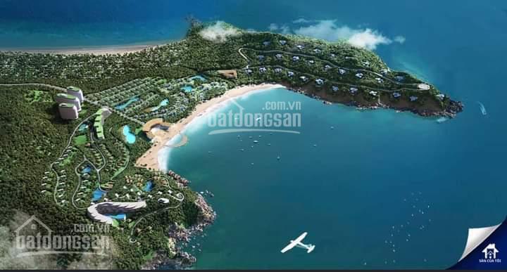 Cần bán đất view biển bãi nồm, xã xuân hòa, thị xã sông cầu, phú yên. diện tích 300m2. giá 4 tỉ