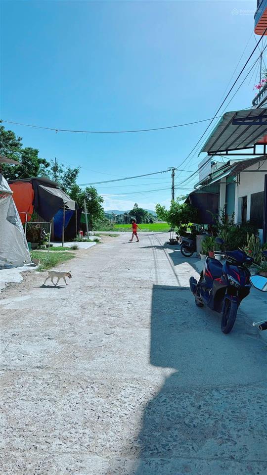 Bán lô đất 233m2 vị trí gần tp quy nhơn. hàng hiếm. giá 1,97 tỉ. tặng kèm căn nhà mua về ở ngay