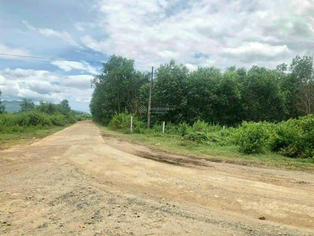 Bán đất thôn 5, xã diên đồng, huyện diên khánh, tỉnh khánh hòa