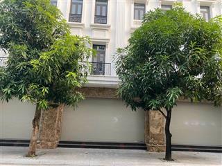 Chính chủ bán 2 căn btlk6.08 & 6.09 hoàng huy riverside  thượng lý  q. hồng bàng  tp hải phòng