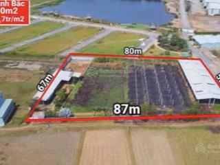 Bán đất thổ cư mỹ hạnh bắc, đức hòa, long an cũ.
giá 25 tỷ, diện tích 5200m2, vị trí đẹp