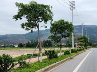 Bán đất tại xã song liễu, thuận thành, bắc ninh, 35 triệu / m2, 70 m2