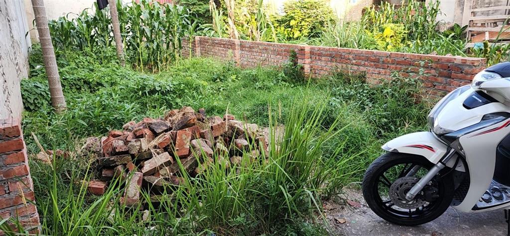 Bán đất tại dương quang, gia lâm, hà nội, 58 triệu/m2, 53.7m2 hàng hot chỉ với