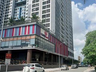 Ngộp bank! bán đất (4,5x25m ~ 118m2) mặt tiền đường kdc lan phương tam bình, thủ đức