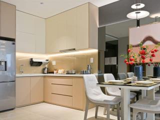 Chính chủ bán căn hộ phú đông sky one 55m2(2pn1wc) nội thất cao cấp