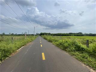 Chỉ 1 tỉ 5, mặt tiền đường nhựa 531m2, view ruộng cực đẹp làm nhà vườn