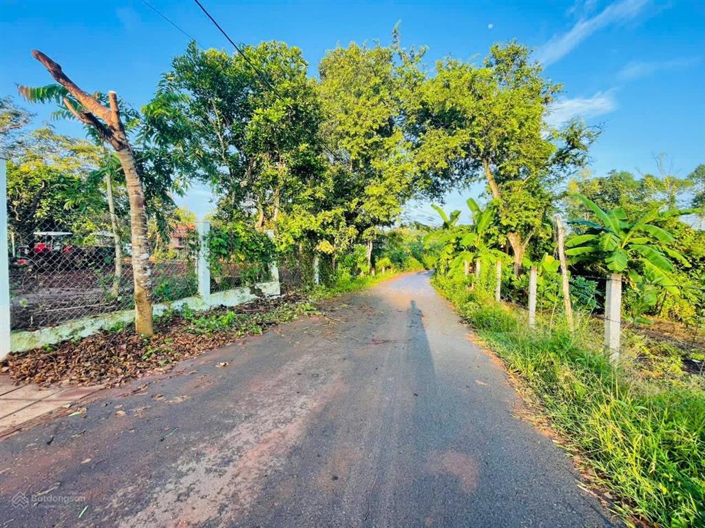 Cần bán lô đất, có nhà vườn 6500m2 tc 300m2. góc 2 mặt tiền đường nhựa