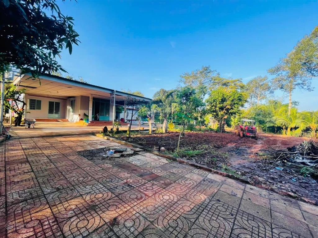 Cần bán lô đất, có nhà vườn 6500m2 tc 300m2. góc 2 mặt tiền đường nhựa