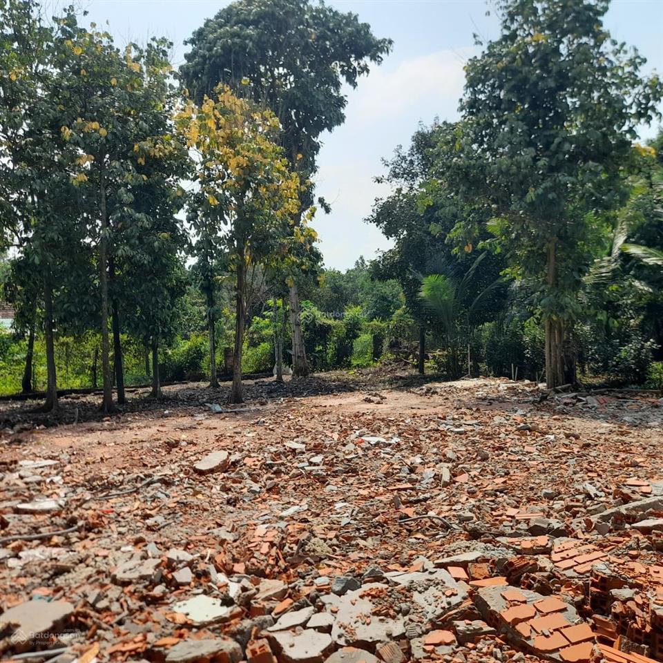 Vườn 35*47m, an thạnh thông lê hồng phong tdm,  0909 036 ***