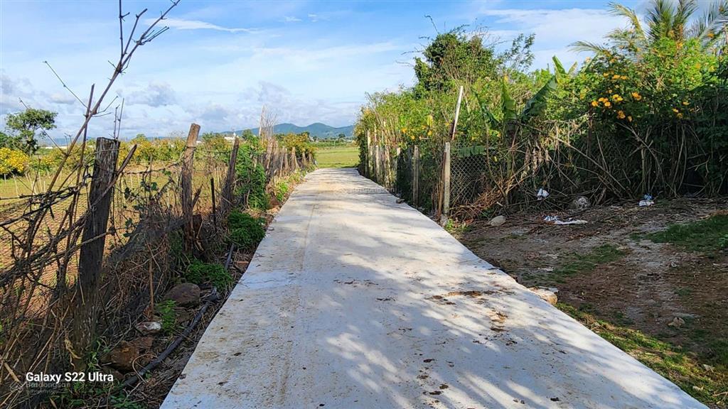 Bán gấp 1300 m2, có sẵn 100 m2 đất xây dựng, giá chỉ 1.6 tỷ tại đức trọng, lâm đồng