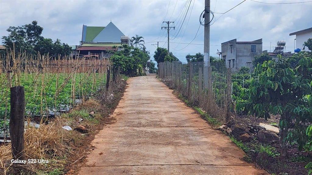 Bán đất thổ cư 282 m2, giá rẻ 1,25 tỷ, tại xã tân hội, lâm đồng. khu dân cư, gần trường học 400 m