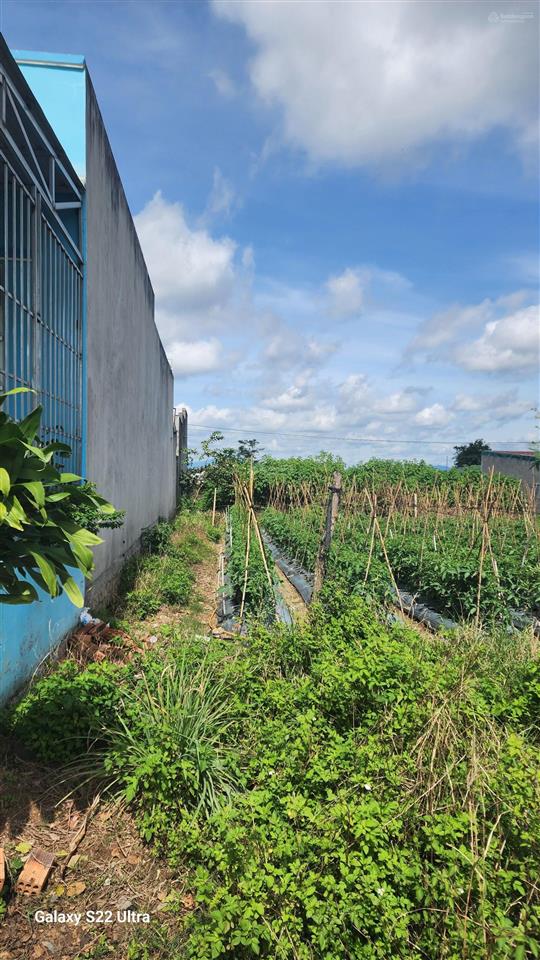 Bán đất thổ cư 100 m2, giá chỉ 990 triệu tại khu tái định cư xã phú hội, đức trọng, lâm đồng.